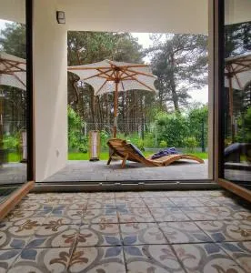 Wydmy Wiatr - Rozewie