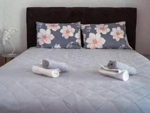 Apartman Ristić - Sobina