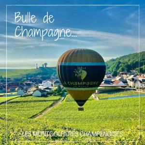 Villas Le gite de L-Echappee Champenoise : photos des chambres