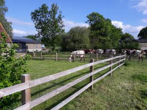 Fermes Roulotte a la Ferme Buissonniere : photos des chambres