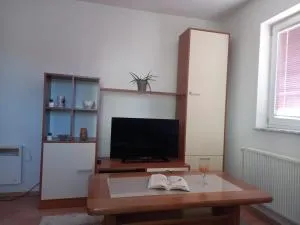Apartmani, prenoćište Ana - توميسلاف غراد