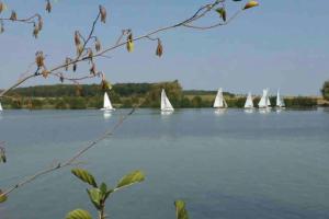 Le St Jean