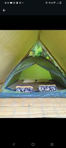 Hospedaje Pance Arí Munani Reserva Natural