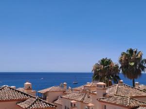 Noctua Estepona Puerto 021