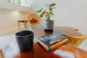 Nómadas Bacalar- Departamentos -