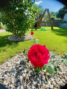 B&B / Chambres d'hotes Les 3 E : Studio