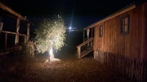 Lodges dans les vignes Domaine Terre des Mages : Chalet 1 Chambre