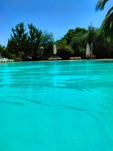 Bio Agriturismo Il Cavone