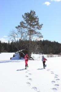 Menninkäinen Cottage