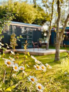 The Field Room - Hut on The Lizard