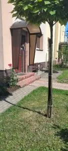 Dobre Mieszkanie - Tomaszów