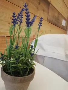 Hostal Ochoa - Andosilla