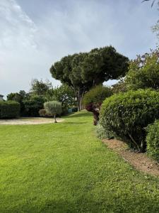 Superb apartment in provenzal residence with pool