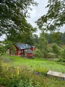 Dammstugan - Klippan