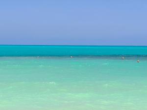 اكوه فيو الساحل الشمال