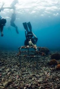 Guest House Villa Machalilla