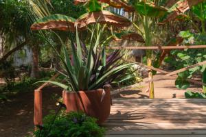 Cabanas Adobe Frente Al Mar
