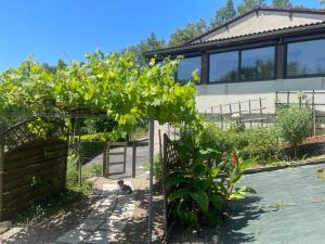 Maisons d'hotes Le petit roquet : photos des chambres