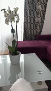 Large apartment
