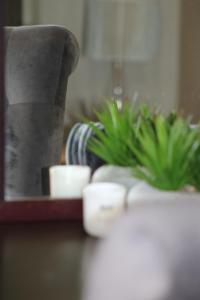 Charming Modern Bedsitter