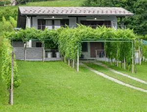 Panorama - Letovčan Tomaševečki