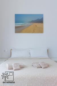 Lola Suite Lajares iRent Fuerteventura