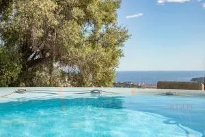 Villa Bonnard in Nice Sea and city View & Pool - Drap