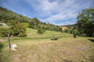 Villas Villa Bonnard in Nice Sea and city View & Pool : photos des chambres