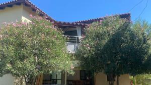 Guesthouse Bregdeti - Ubytování bez kategorie ve městě Velipojë