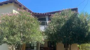 Guesthouse Bregdeti - Baks-Rrjoll