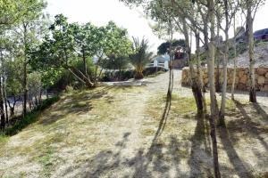 Cortijo El Albaricoque De La Sierra - Finca de 75 Hectáreas !