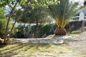 Cortijo El Albaricoque De La Sierra - Finca de 75 Hectáreas !