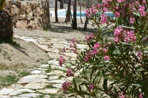 Cortijo El Albaricoque De La Sierra - Finca de 75 Hectáreas !