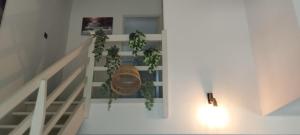 Duplex climatise CV Avignon extra muros