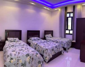 Oasis Chalet - Sahanawt