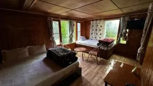 Top Hill Cottage - Pahalgām