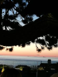 B&B / Chambres d'hotes La Crevette : photos des chambres