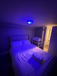 Entire Apartment in Dublin