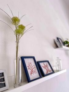 La Meridiana IUN P2300 img28