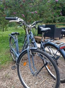 Lodges Chez Tombivouac : photos des chambres