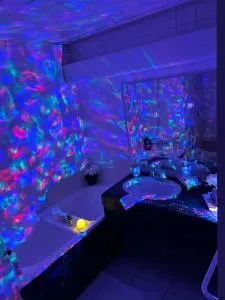 Moment Paisible - 卢瓦尔河畔奥尔