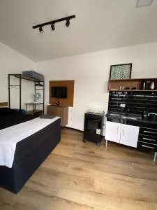 Loft Santos dumont - 苏扎努