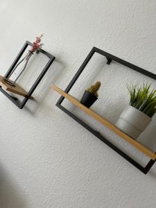 ANER 1 STILVOLLE Ferienwohnung in Dresden-Loschwitz