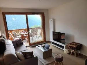 Perle de Savoie Free multipass offer for 4 guests - 沙泰勒
