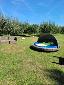 Cabana din Padure