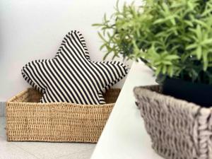 La Meridiana IUN P2300 img6