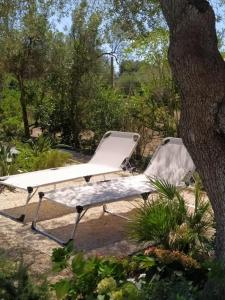 Resort Natura & Relax img51