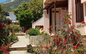 La Meridiana IUN P2300 img46