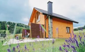 Domki pod Bukowym lasem - Wańkowa