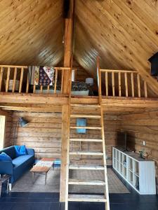 Dry Log Cabin with Mountain Views